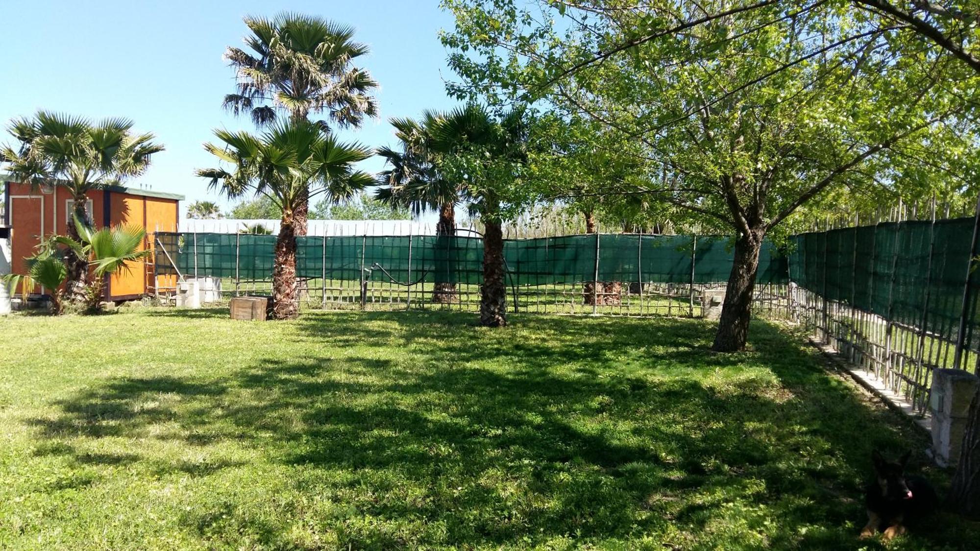 Villa Luna A Pochi Passi Dalla Spiaggia Avola Exteriör bild